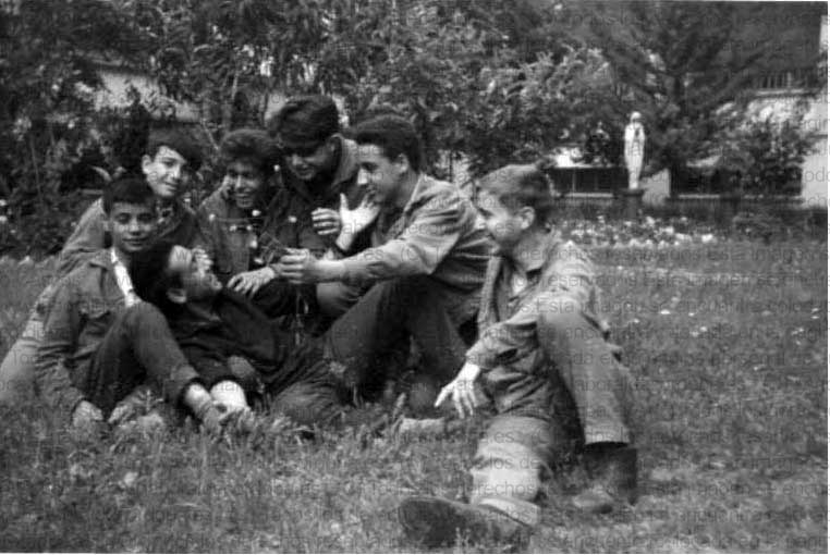 Imagen de la galería