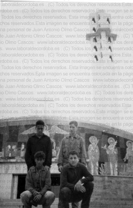 Imagen de la galería