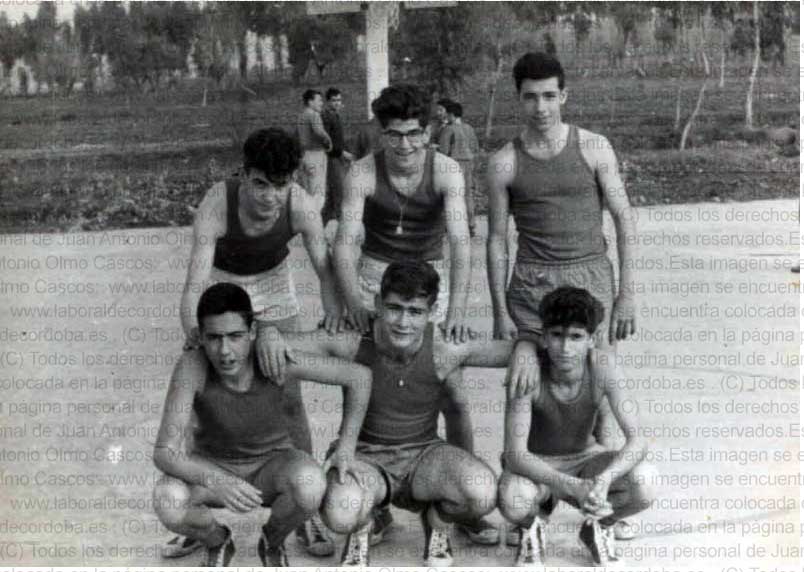 Imagen de la galería
