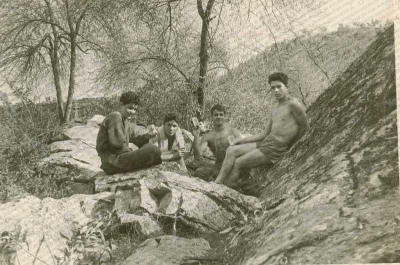 Imagen de la galería