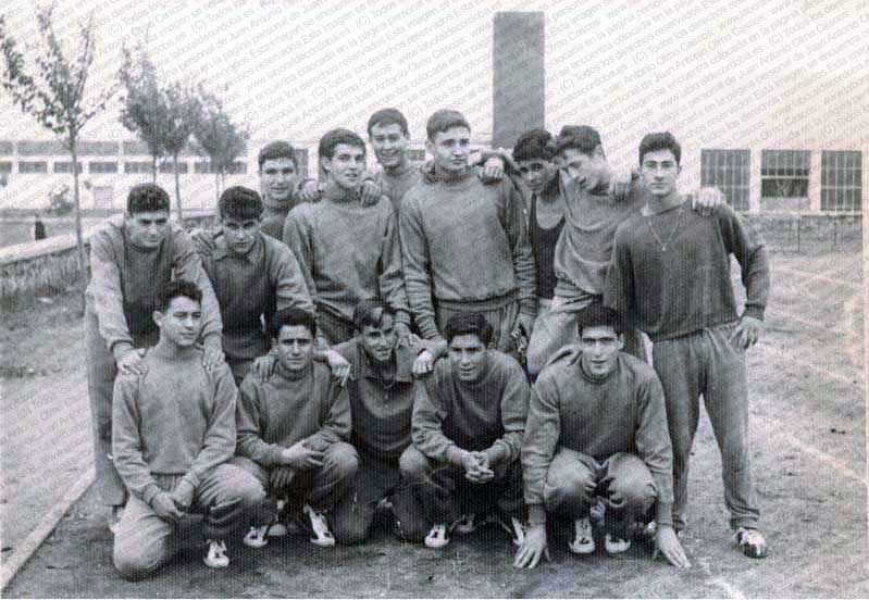 Imagen de la galería