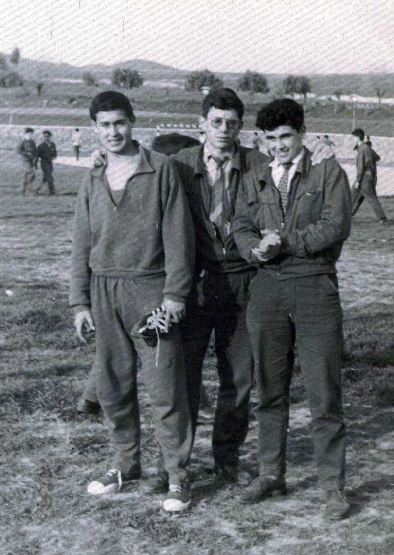 Imagen de la galería