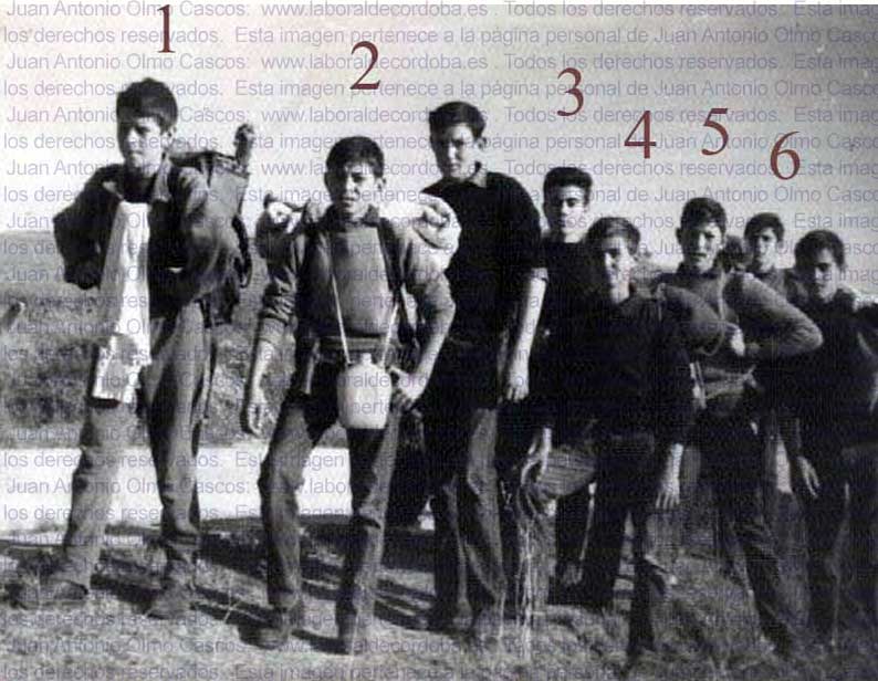 Imagen de la galería