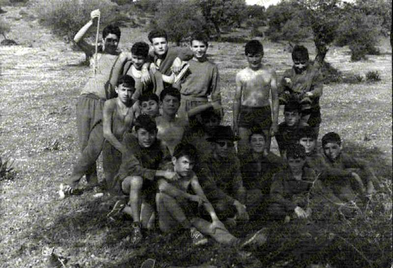 Imagen de la galería