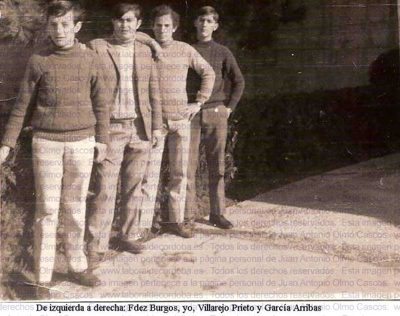 Imagen de la galería