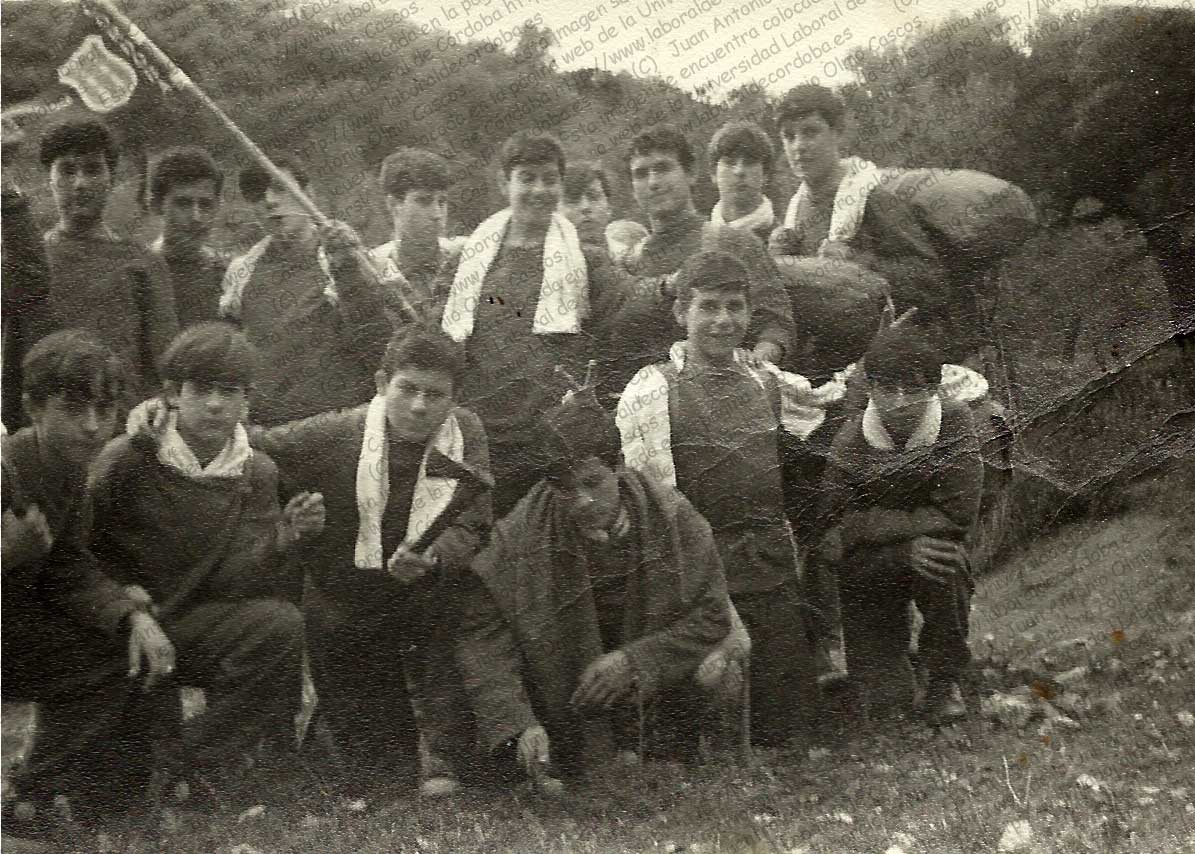 Imagen de la galería