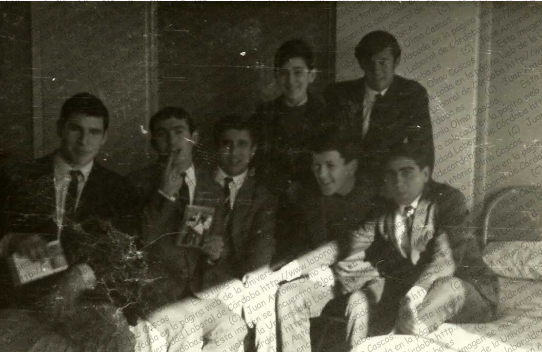 Imagen de la galería