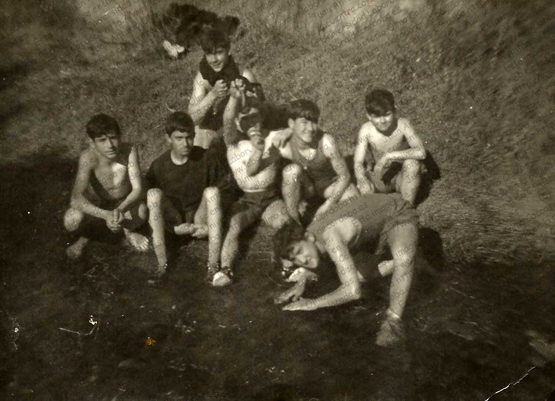Imagen de la galería