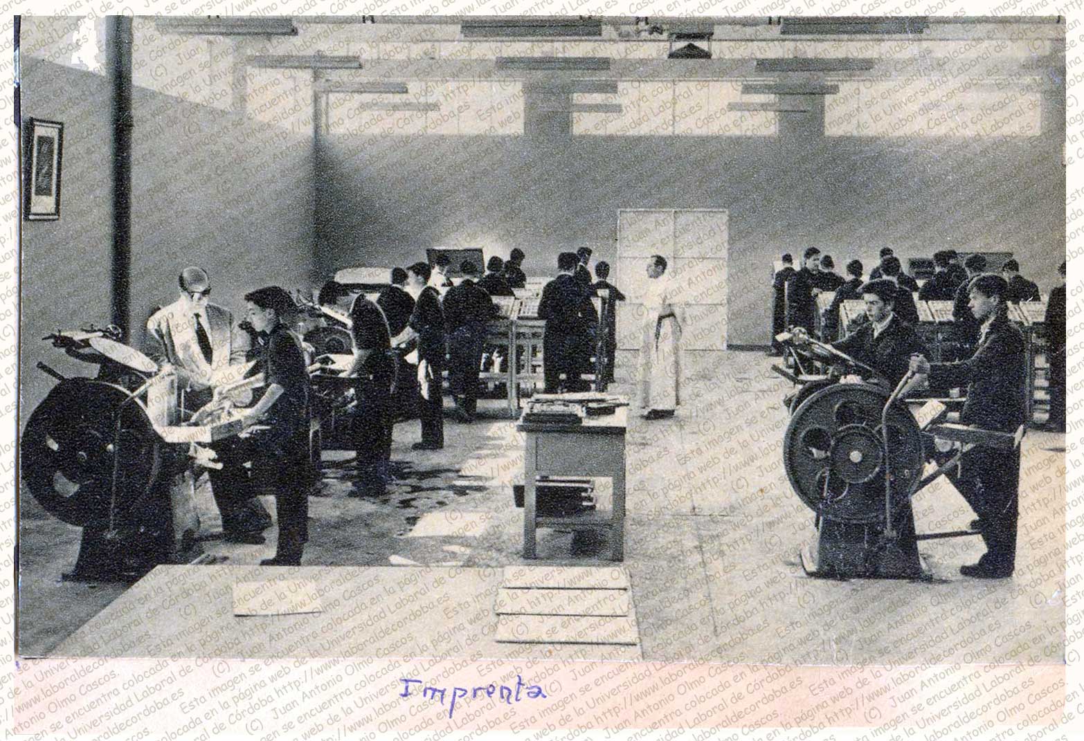 Imagen de la galería