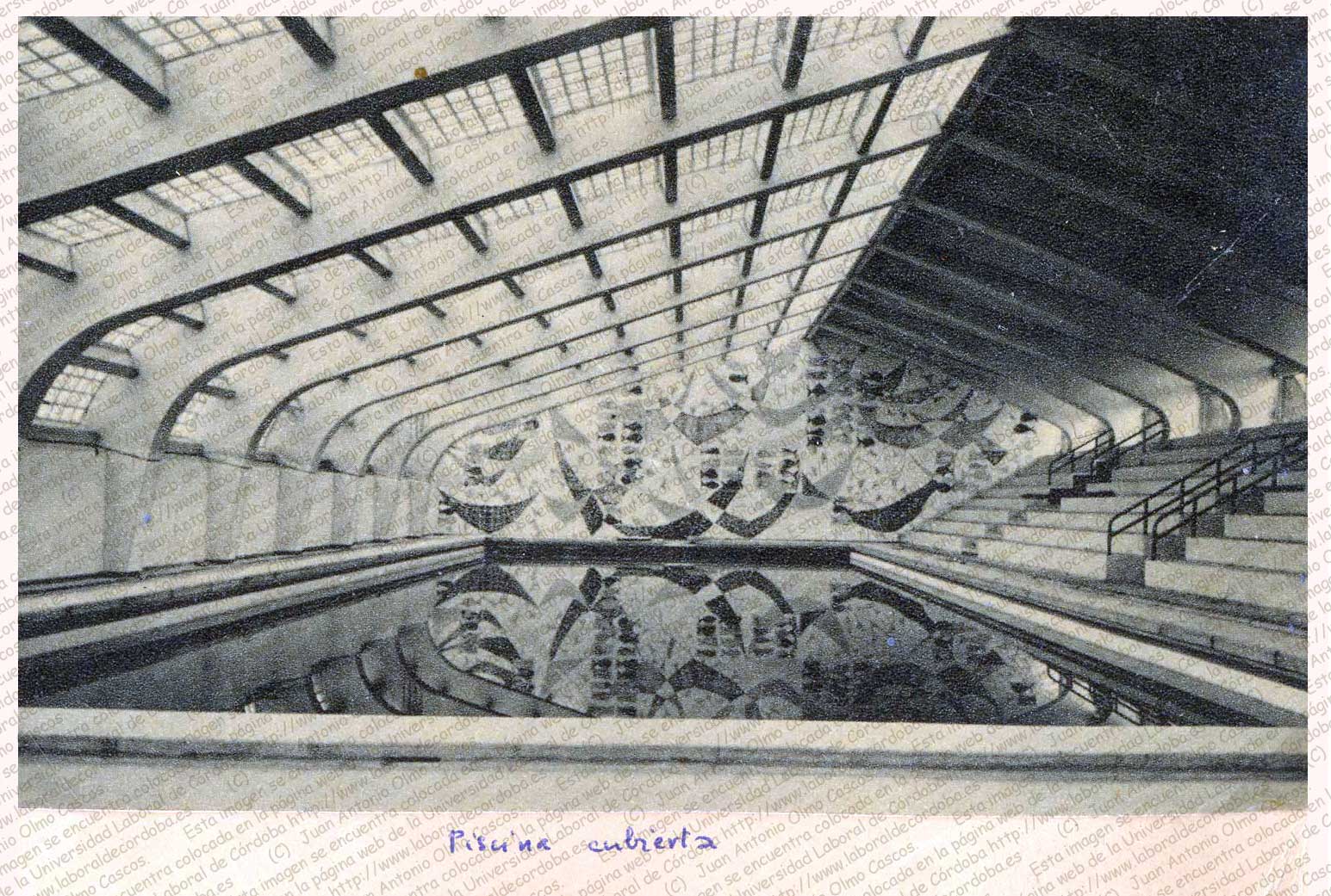 Imagen de la galería