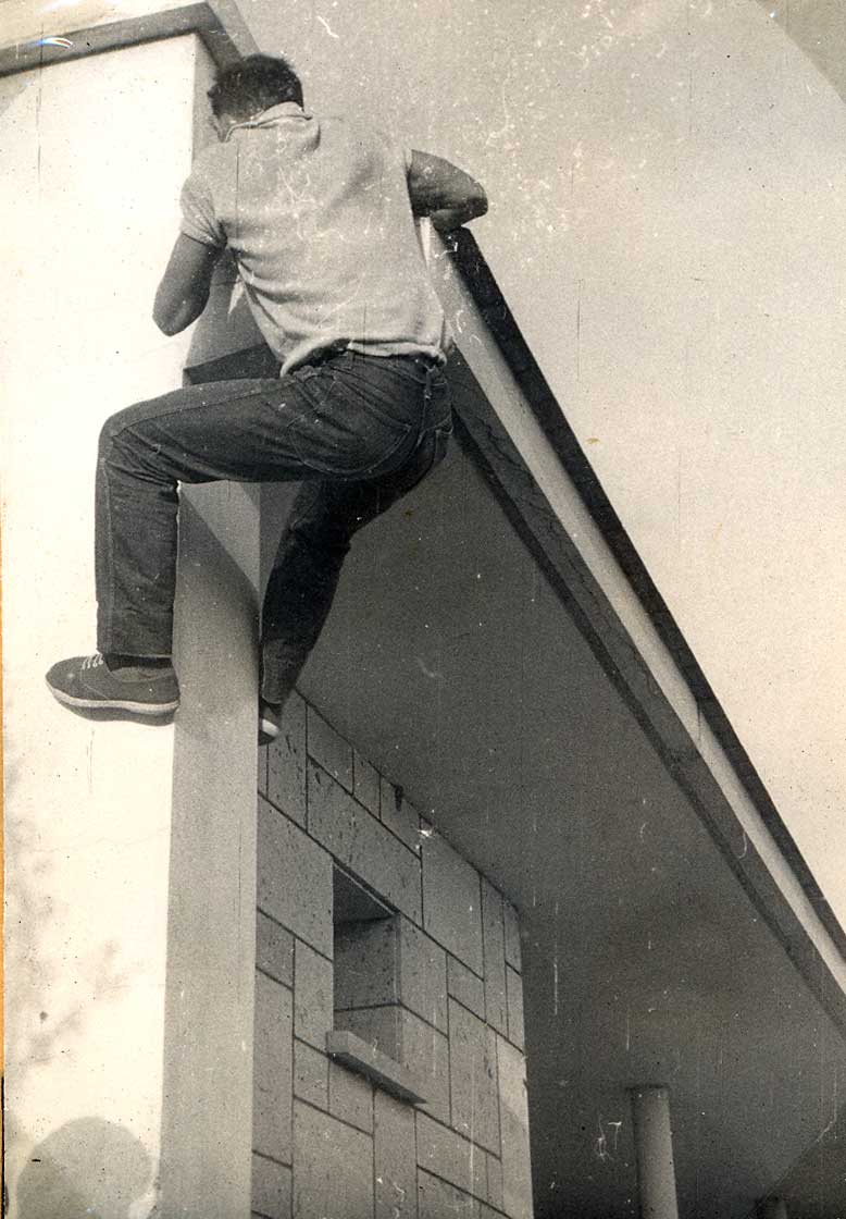 Imagen de la galería