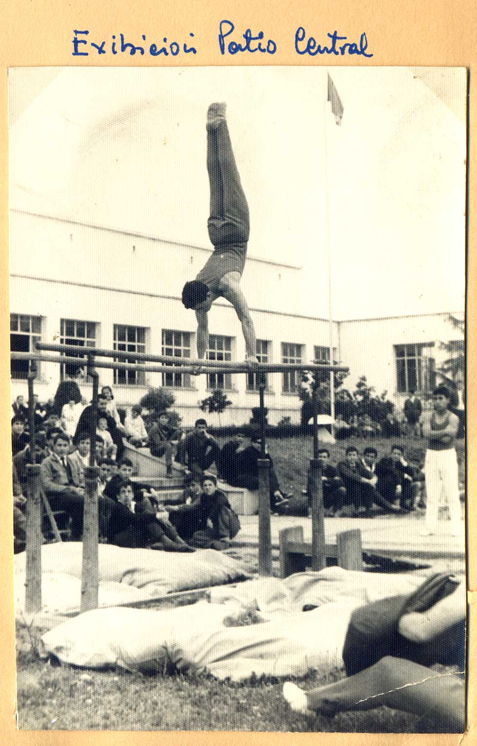 Imagen de la galería