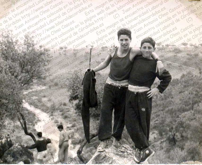 Imagen de la galería