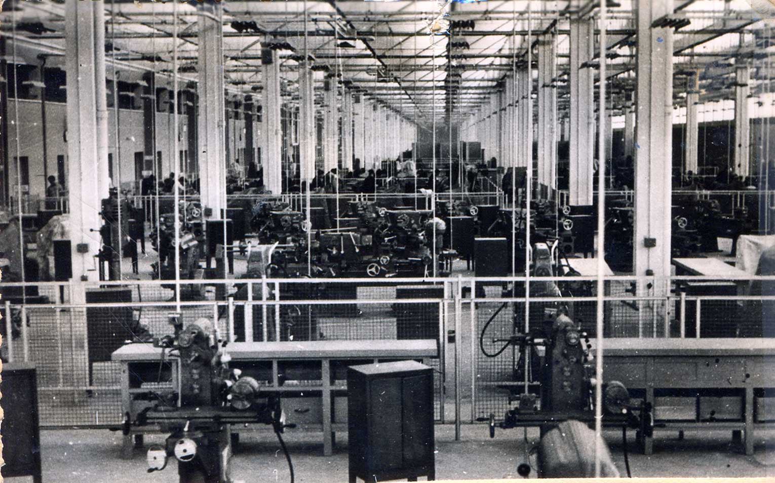 Imagen de la galería