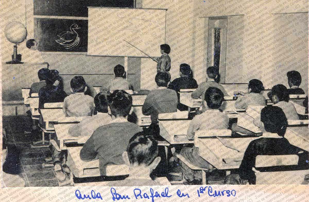 Imagen de la galería
