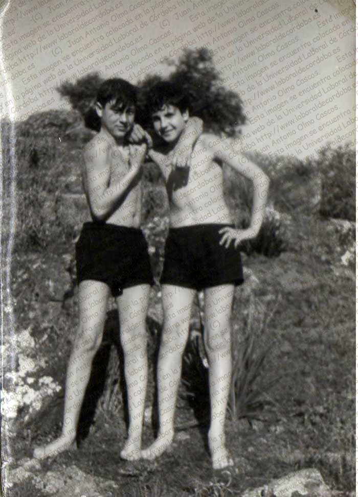 Imagen de la galería