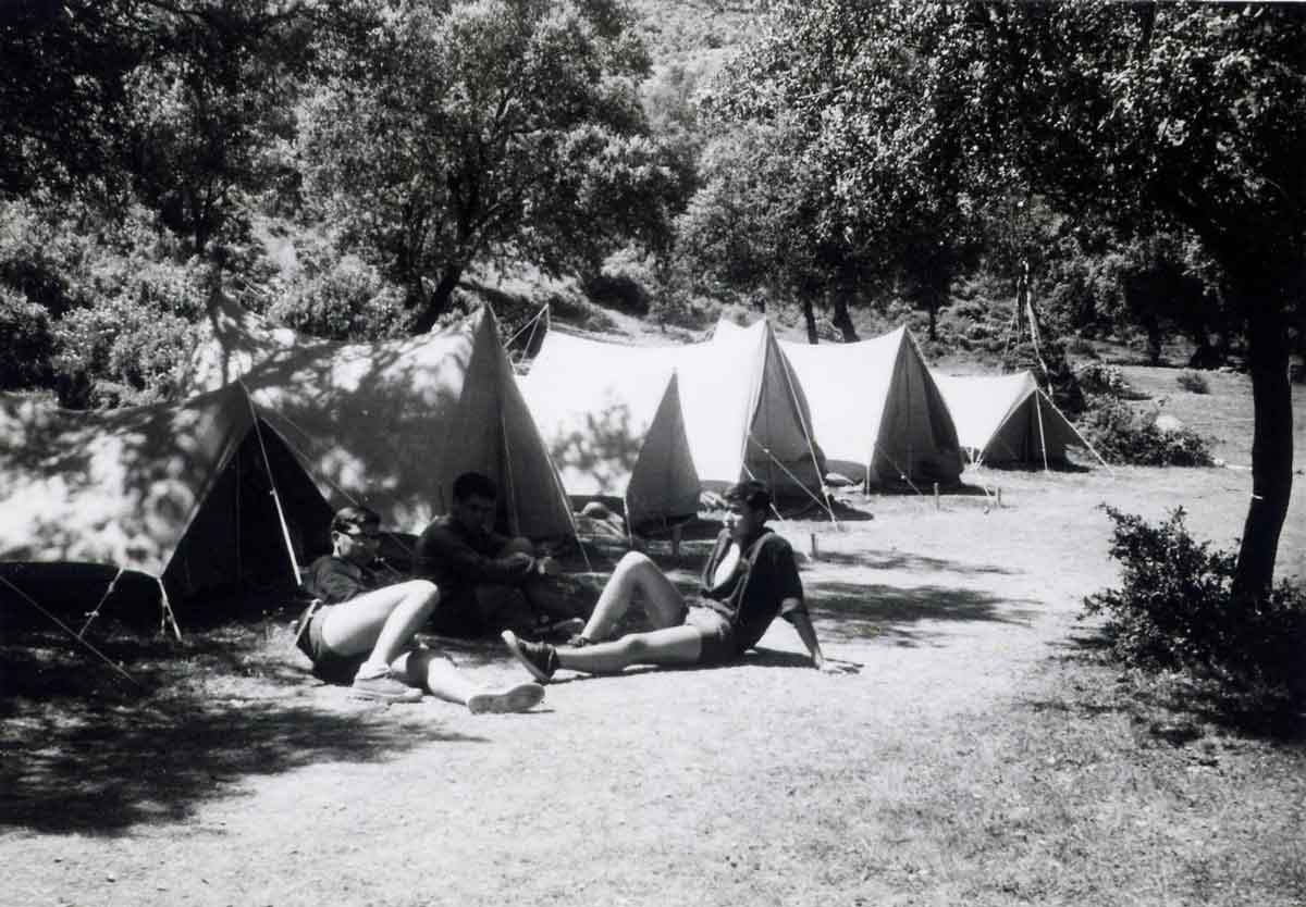 Imagen de la galería