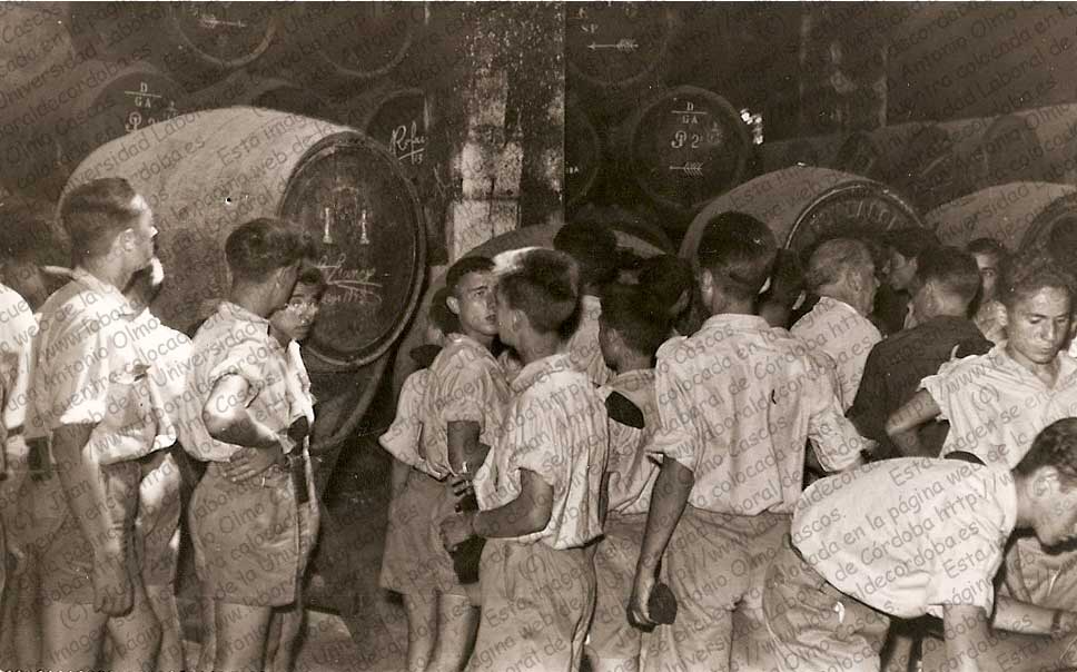 Imagen de la galería