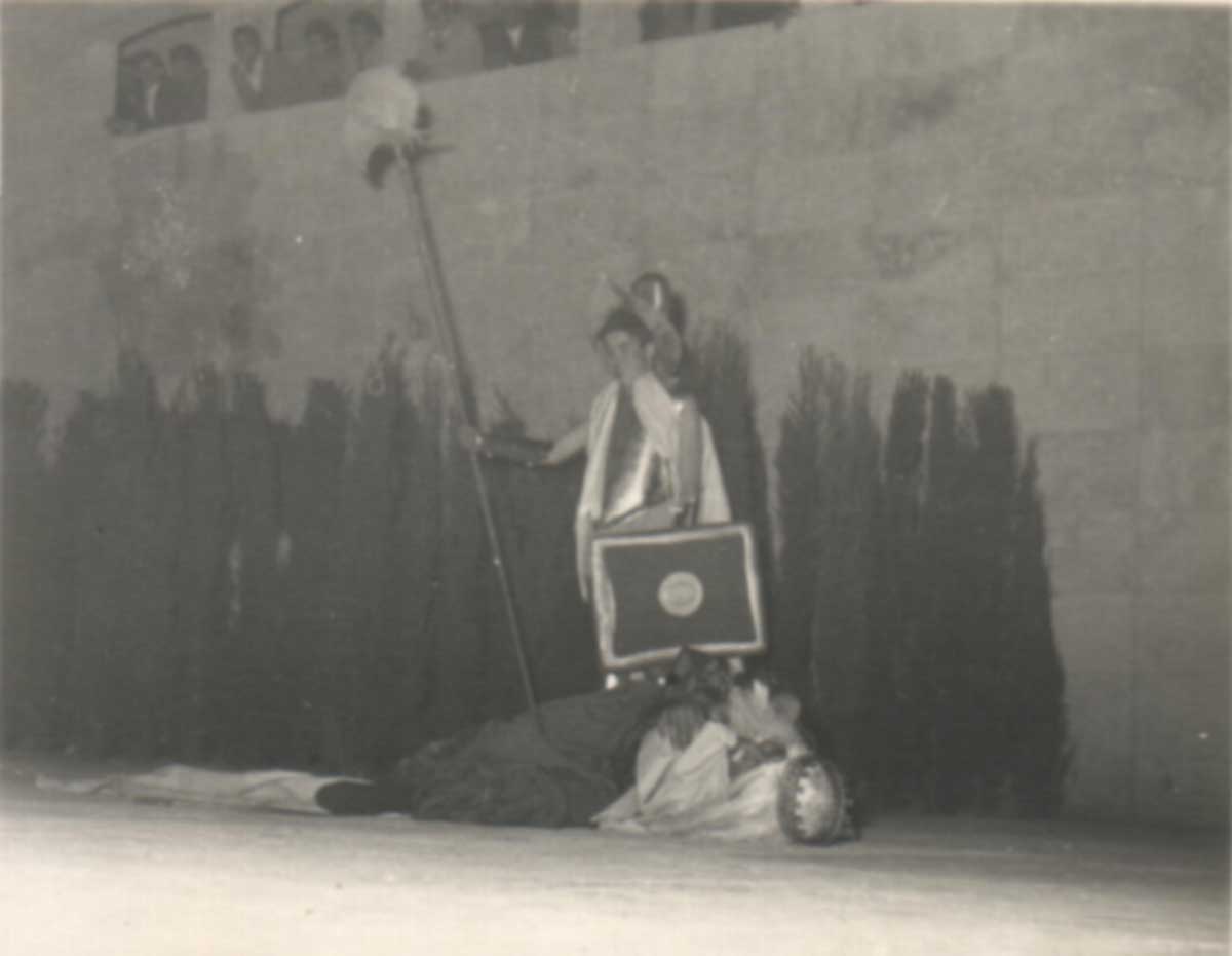 Imagen de la galería