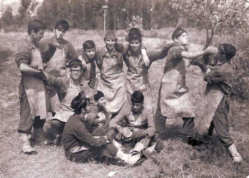 Imagen de la galería