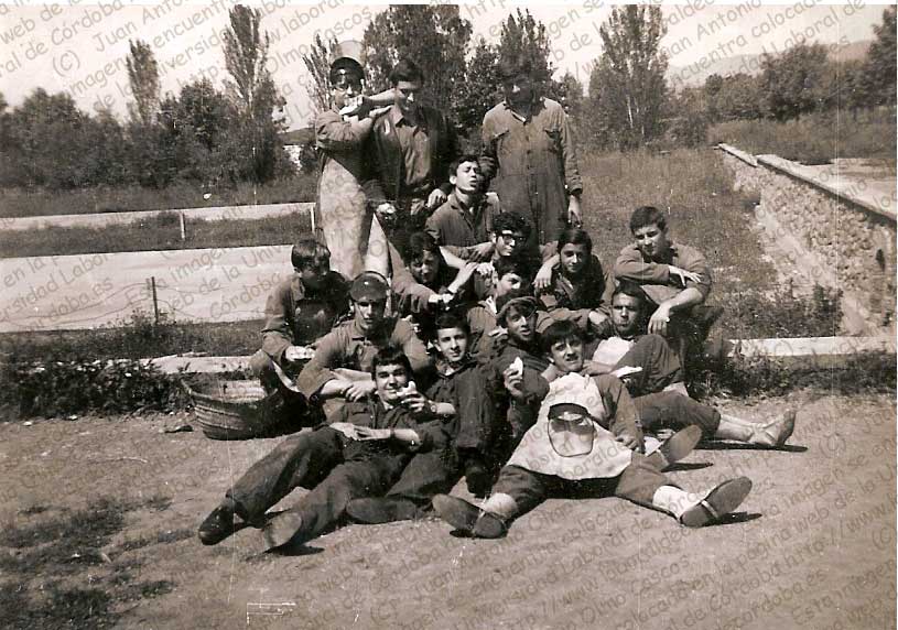 Imagen de la galería