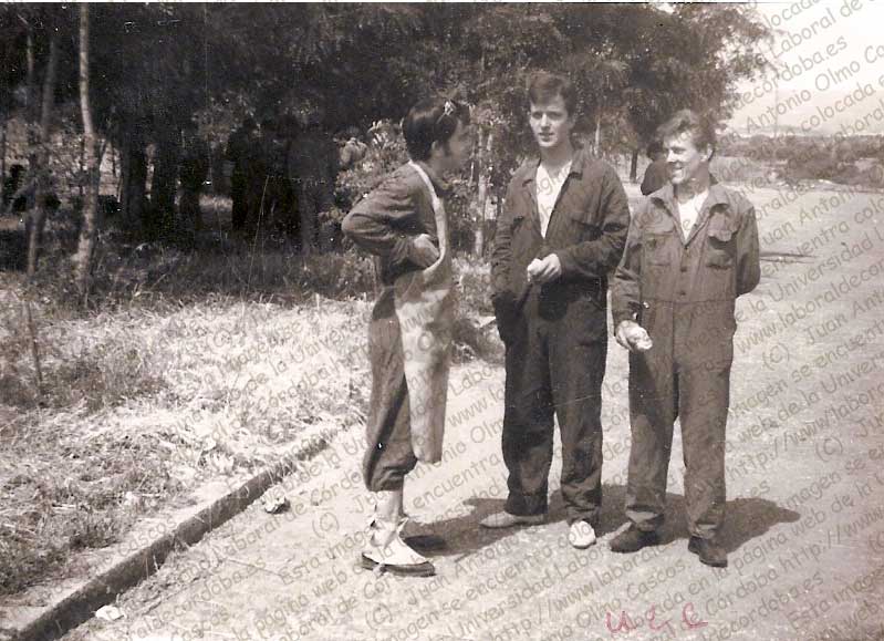 Imagen de la galería