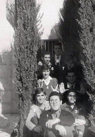 Imagen de la galería