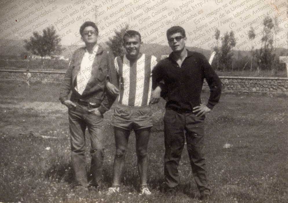 Imagen de la galería