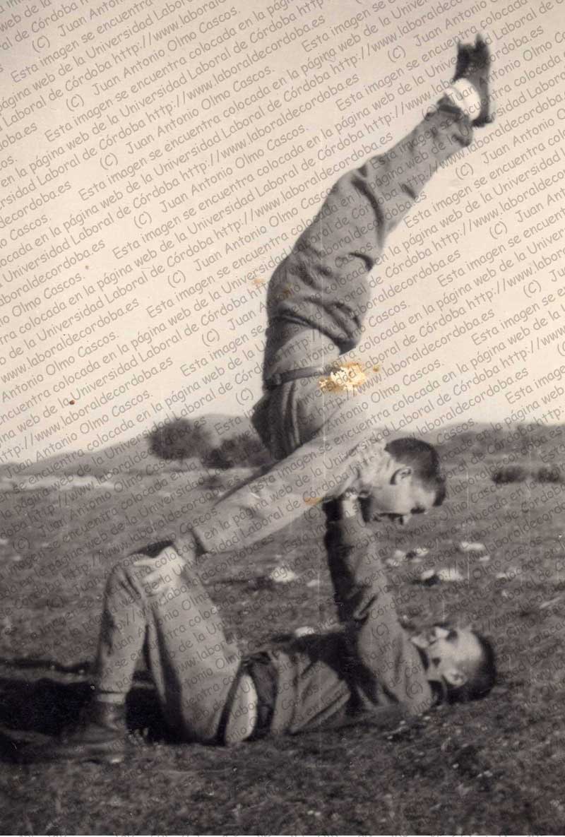 Imagen de la galería