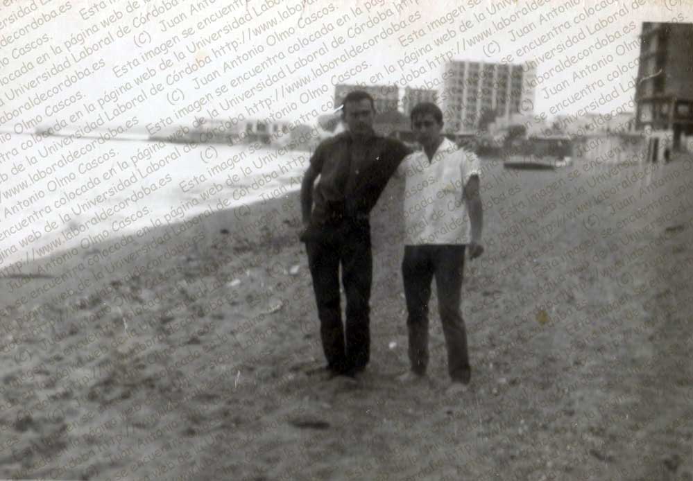 Imagen de la galería
