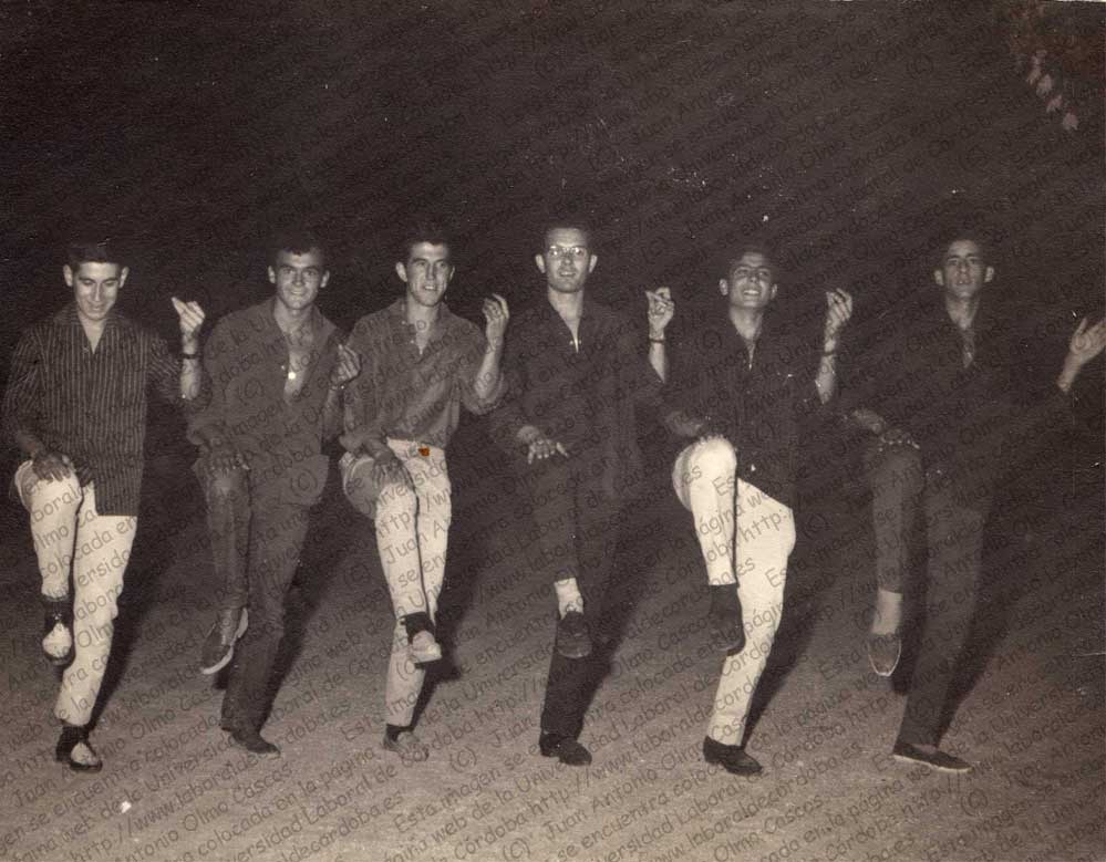 Imagen de la galería