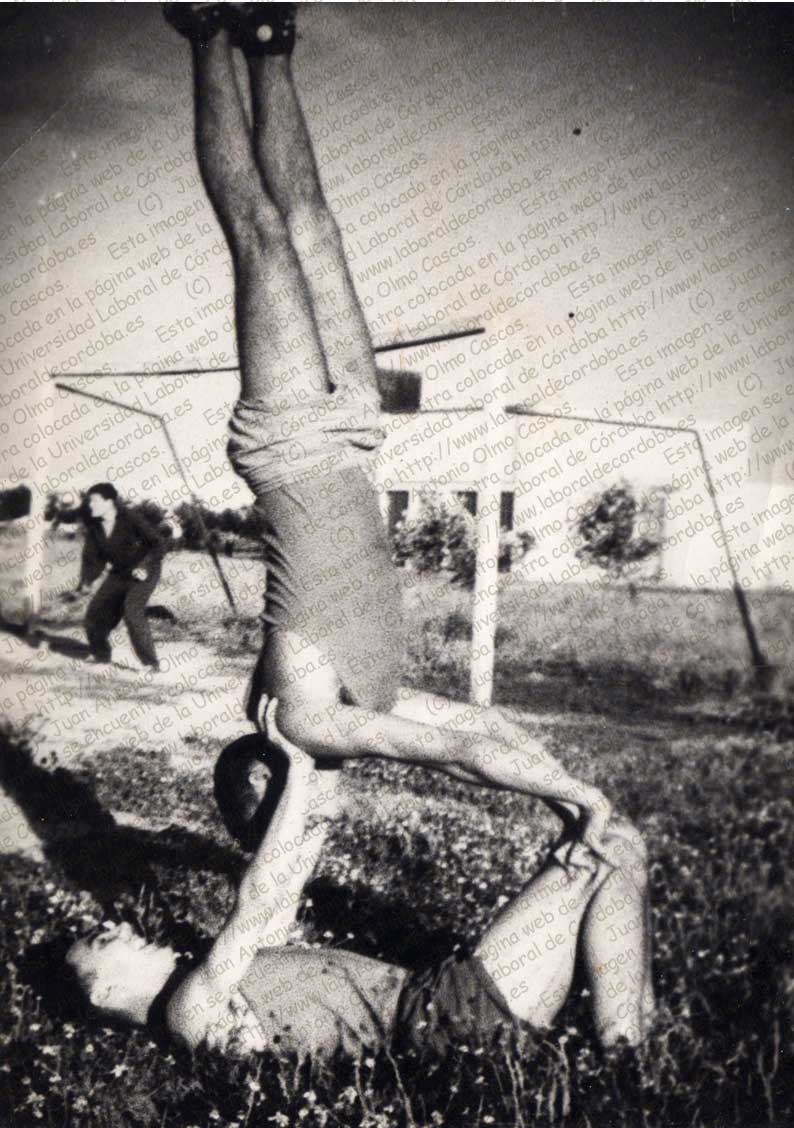 Imagen de la galería