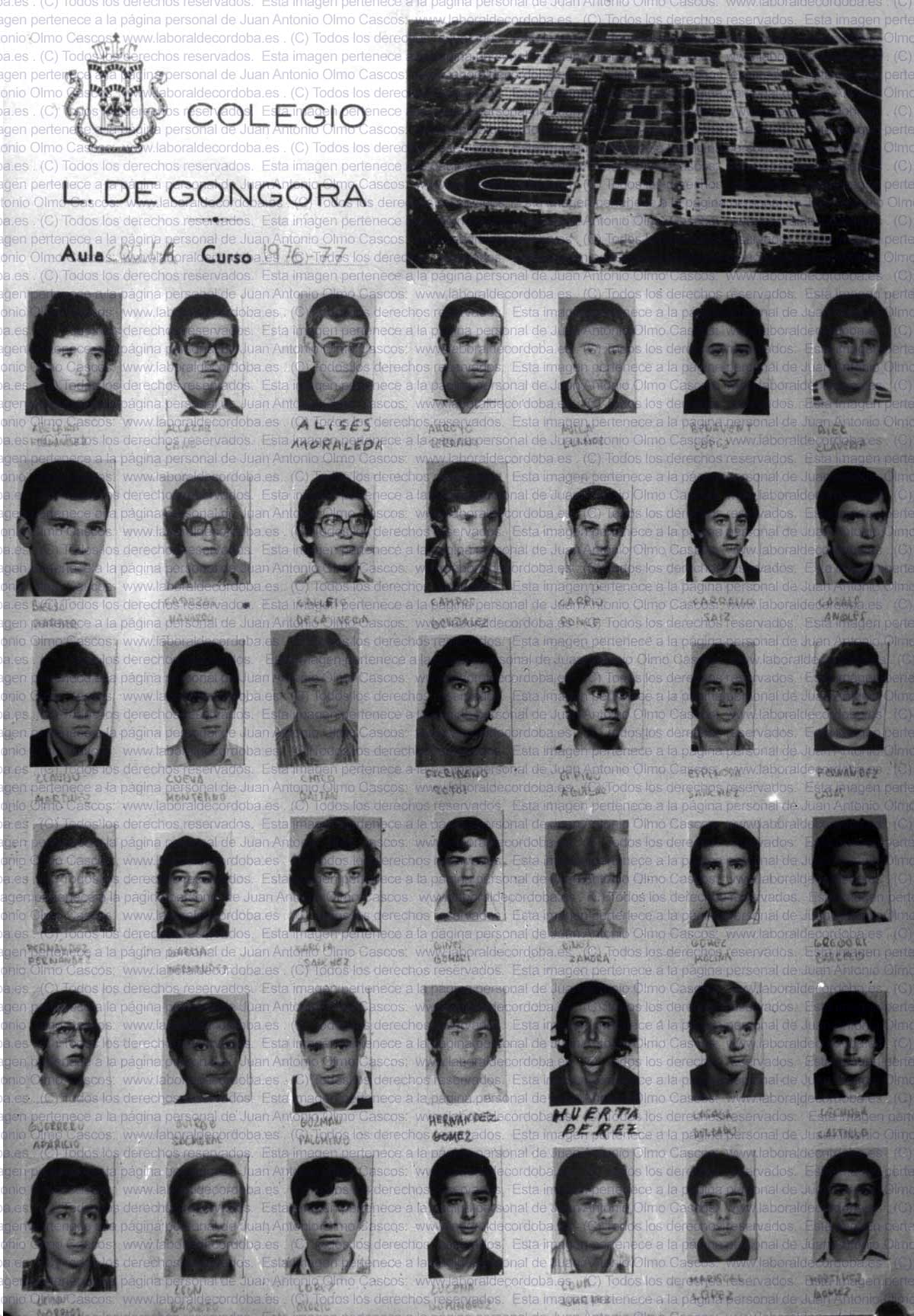 Imagen de la galería