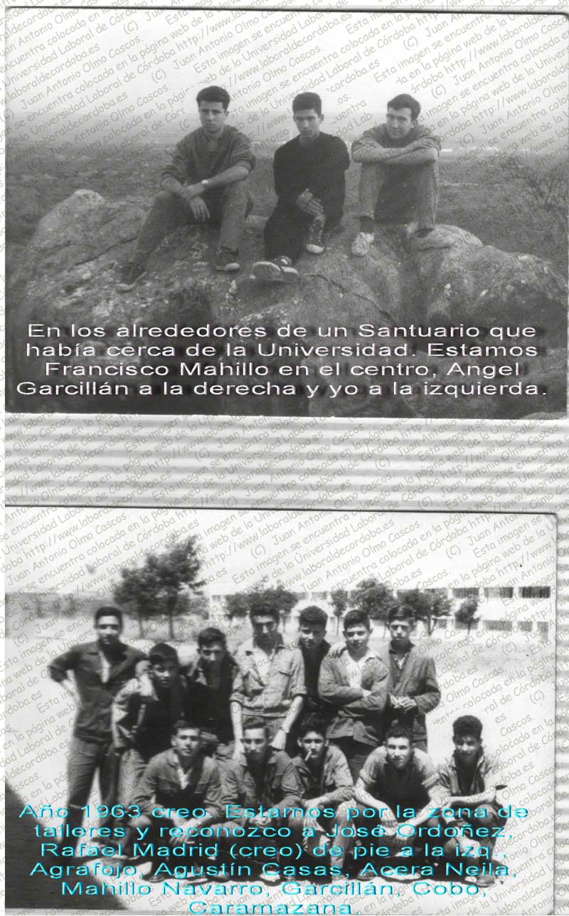 Imagen de la galería