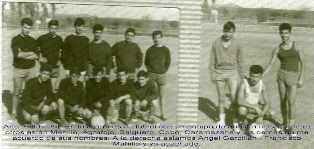 Imagen de la galería