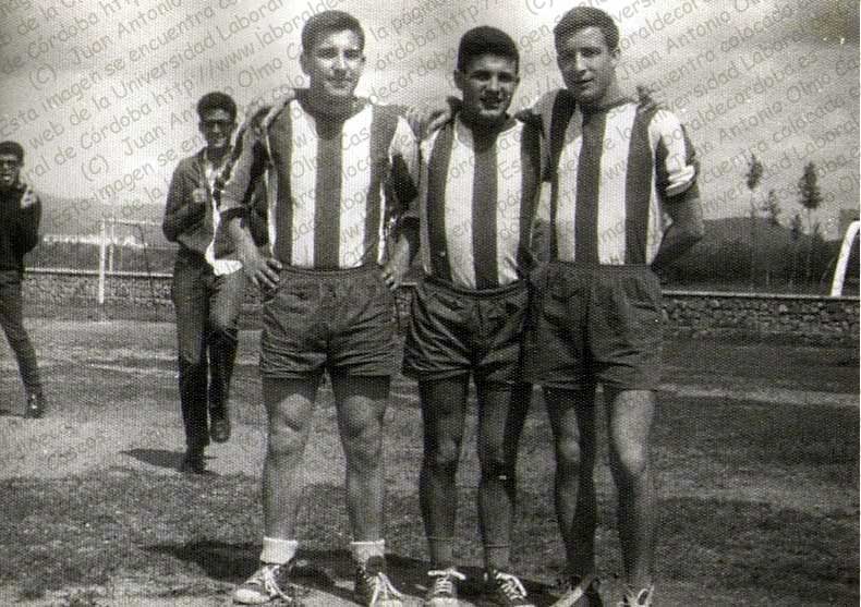 Imagen de la galería