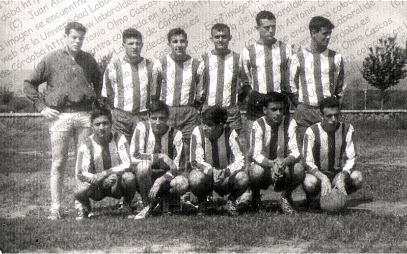 Imagen de la galería