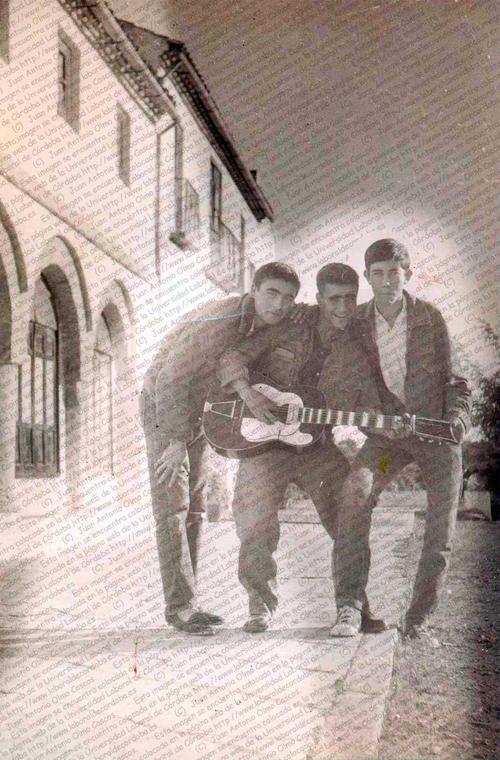 Imagen de la galería