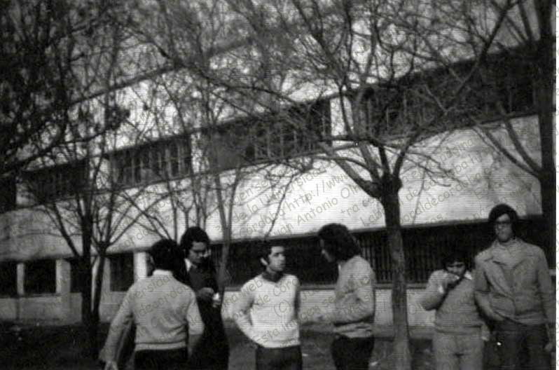 Imagen de la galería