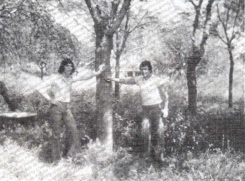 Imagen de la galería
