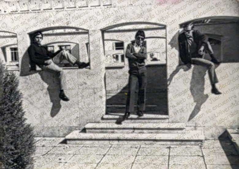 Imagen de la galería