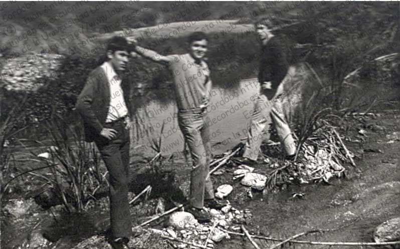 Imagen de la galería