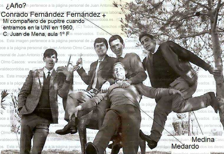 Imagen de la galería