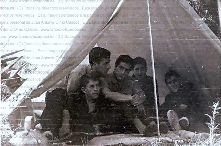 Imagen de la galería