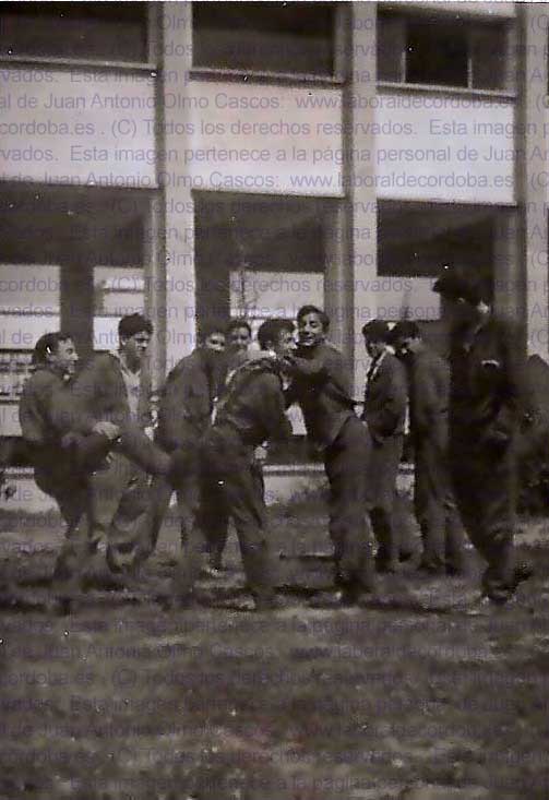 Imagen de la galería