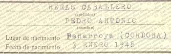 Imagen de la galería