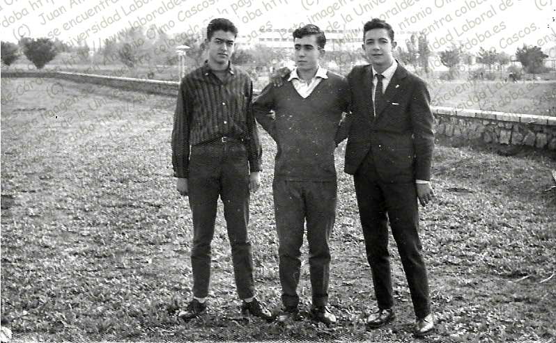 Imagen de la galería