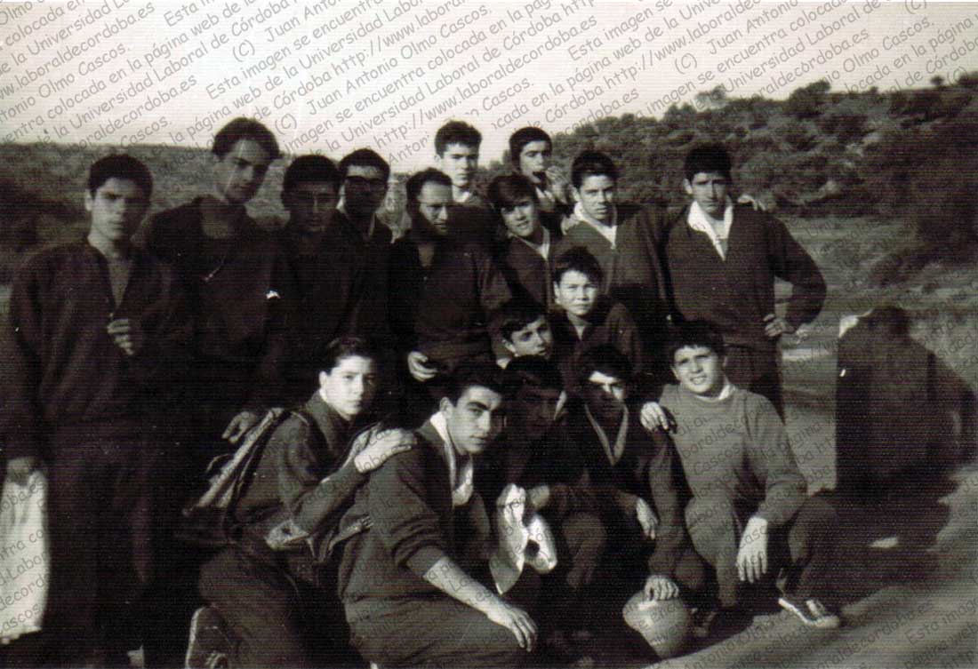 Imagen de la galería