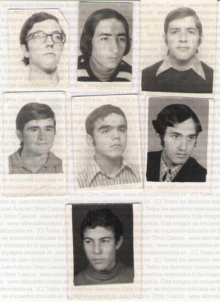 Imagen de la galería