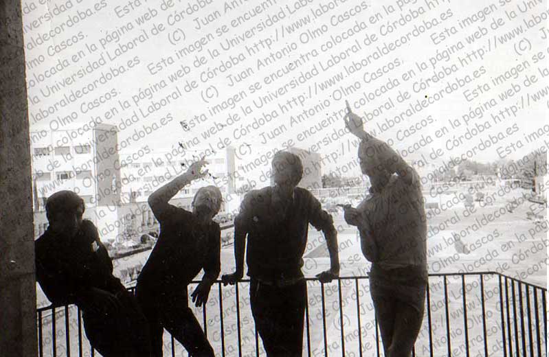 Imagen de la galería